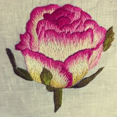 a close up of a pink flower on a white cloth