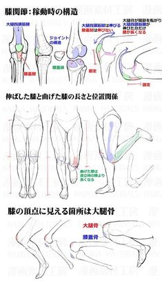 an image of the human body with different muscles and their names in english, chinese and japanese