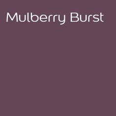 the words mulberry burst on a purple background