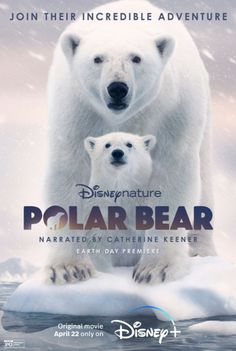 the polar bear movie poster with an adult and baby polar bear on top of ice