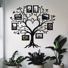 a family tree with many pictures hanging on it's wall and two potted plants in the foreground