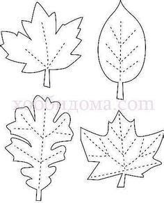 three different leaf shapes with the word interest