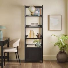 a living room filled with furniture and a book shelf next to a plant on top of a table