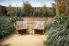 two wooden benches sitting next to each other near tall grass and plants in a garden