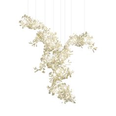 an image of some white flowers hanging from the ceiling