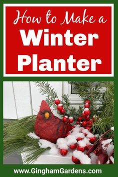 a red bird sitting on top of a planter covered in snow