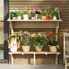 there are many potted plants on the shelf