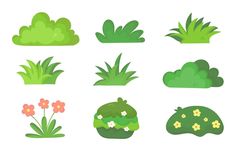 different types of plants and flowers on a white background illustration for design or web site