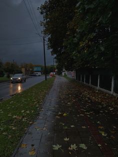 a wet sidewalk with fallen leaves on it and cars driving down the road in the background