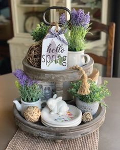 a tray with some plants on it and a hello spring sign hanging from the top