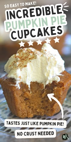 Incredible Easy Pumpkin Pie Cupcakes made with 100% pure pumpkin puree, pumpkin pie spice, and evaporated milk. Topped with homemade whipped cream for an impossible fall dessert recipe that tastes just like the best pumpkin pie without crust. Crustless Pumpkin Pie Muffins, Easy Pumpkin No Bake Recipes, What To Do With Pie Pumpkins, Pumpkin Pie Cupcakes Easy, Baking Pie Pumpkins, Recipes With Pumpkin Pie Spice, Recipes Using Pure Pumpkin, Pumpkin Pie In Muffin Tin, Pumpkin Puree Cupcakes