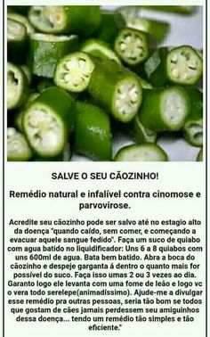 some green peppers with faces on them and the words salve o seu caozinho