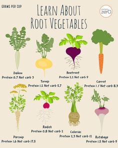 a poster with different types of vegetables and the words learn about root vegetables