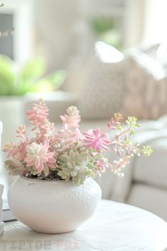 pink succulents for living room decor inspo Pink Succulents