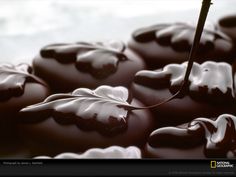 chocolate covered donuts with white frosting on top and one being held by a stick