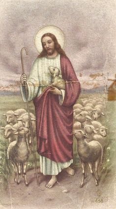 an image of jesus with sheep in the background