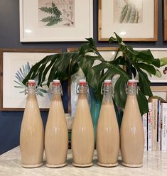 four bottles are lined up on a counter with a plant in the corner behind them