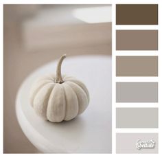 a white pumpkin sitting on top of a table next to some brown and gray colors