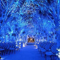 the inside of a building with blue lights and trees on it's sides, all lit up