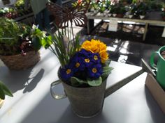 some flowers are sitting in a watering can on a table with other potted plants