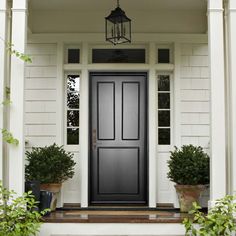 a black front door with two potted plants on the steps and a light hanging above it