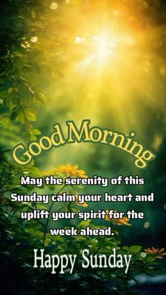 May your troubles be less and blessings be more in the week ahead. May it be start of something new and exciting.                                               #happysunday #coffeetimemytime #getyourhappyon #liveitloveit #thedayisyours #embracechange #nodrama #believeinyourself #enjoyyourday #positivevibes Good Morning Sunday Morning, Sunday Morning Bible Verses, Sunday Morning Quotes Motivation, Good Sunday Morning Blessings Quotes, Sunday Morning Greetings, Sunday Blessings Mornings, Good Sunday Morning Images, Sunday Motivation Quotes, Sunday Morning Quotes Inspirational