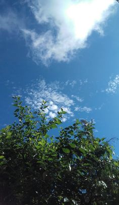 the sun shines brightly through the clouds above some green leaves and trees on a sunny day