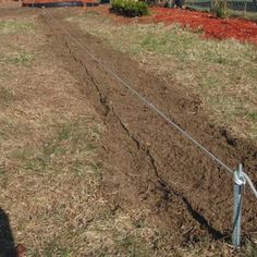 Remove the sod to make way for the boxwoods.