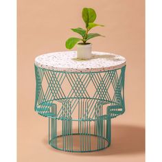 a small potted plant sitting on top of a wire table with a green plant in it