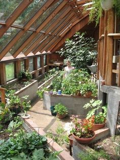 an indoor greenhouse with lots of plants growing in the ground and on the roof,