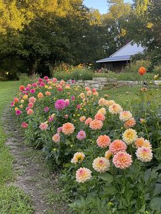 many different colored flowers in a garden