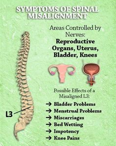 Are you still wetting the bed? ‪#‎chiropractic‬ ‪#‎loveyourspine‬ ‪#‎nervoussystem‬ ‪#‎l3vertebrae‬ ‪#‎Bladderproblems‬ ‪#‎mestrualproblems‬ ‪#‎misscarriages‬ ‪#‎bedwetting‬ ‪#‎impotency‬ ‪#‎kneepains‬ ‪#‎happyfriday‬ Liver Anatomy, Upward Spiral, Spinal Degeneration, Nerve Anatomy, Benefits Of Chiropractic Care, Spinal Fluid