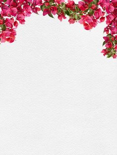 watercolor painting of pink flowers on white paper with space for your text or image