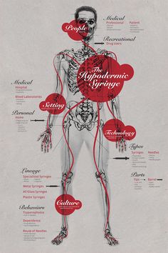 the anatomy of a human body with all its major parts labeled in red and black