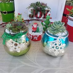 three small pots with plants in them on a table next to other potted plants