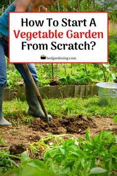 a woman digging dirt in her garden with the words how to start a vegetable garden from scratch?