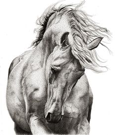 a drawing of two horses with their heads touching each other's foreheads in front of white background