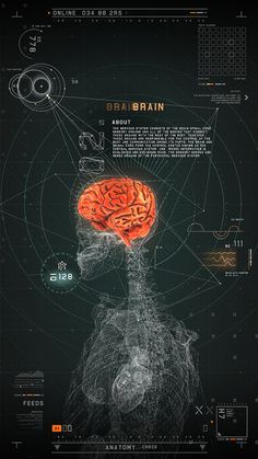 the human brain is depicted in this futuristic poster