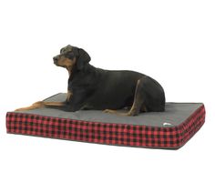 a black and brown dog laying on top of a red and black bed cushion with a white background