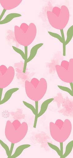 pink tulips with green leaves on a light pink wallpaper design by the print studio