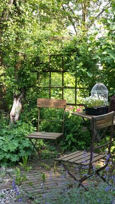 a birdcage sitting on top of a wooden table in the middle of a garden