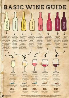 the basic wine guide for beginners to learn how to make wines and drink them