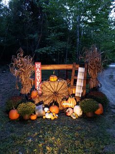 pumpkins and gourds are arranged on the ground in front of a fence