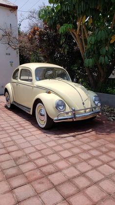 an old yellow car is parked in front of a tree and bushes on a brick driveway