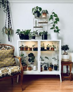 a white shelf filled with potted plants on top of a hard wood floor next to a chair