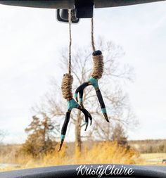 two birds are hanging upside down from a car's dash board, while another bird is in the background