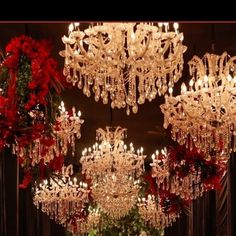 a chandelier hanging from the ceiling in a room with red flowers and greenery