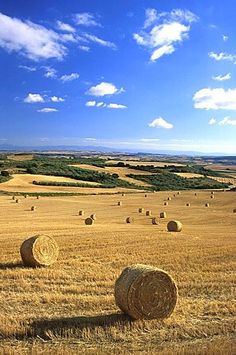 hay bales in a field under a blue sky