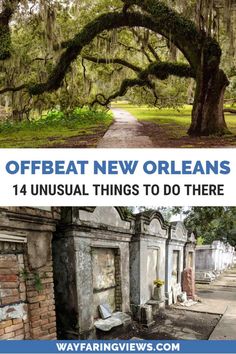 Things To Do Near New Orleans, To Do In New Orleans, New Orleans Places To Stay, New Orleans To Do, Things To See In Louisiana, New Orleans Travel Tips, Things To See In New Orleans, Traveling To New Orleans, Nola Things To Do