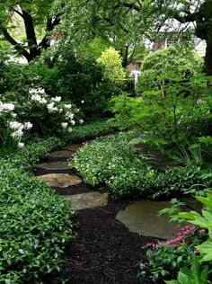 a garden with lots of green plants and rocks in the middle, along with white flowers